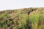 22-CNV00013.JPG